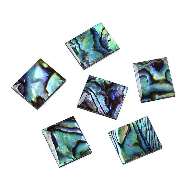 Natural Paua Shell Rectangle Cabochons