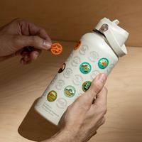 National Park Insulated Bottle Flask Tumbler with Stickers Kit