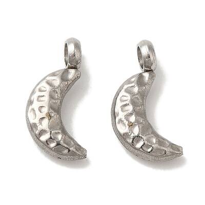 Non-Tarnish 304 Stainless Steel Charms