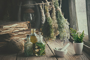 Basics of Herbal Medicine