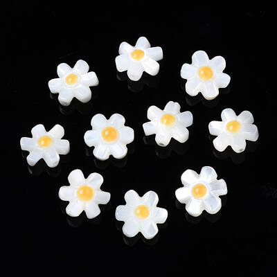 Natural White Shell Beads