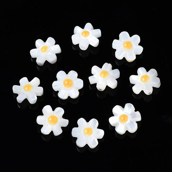 Natural White Shell Beads