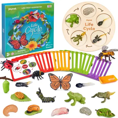 JoyCat Life Cycle Learning Education Toys, Insect Caterpillar to Butterfly kit, Bee, Tadpole to Frog Kit Life Cycle Toy, Pres...