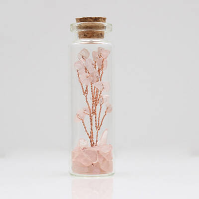 Glass Wishing Bottle Decorations