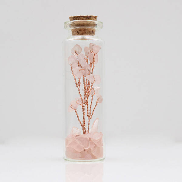 Glass Wishing Bottle Decorations