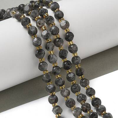 Natural Larvikite Beads Strands