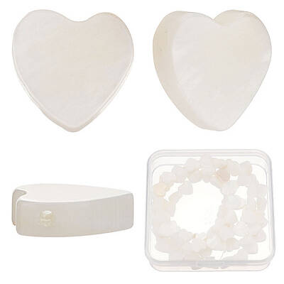 3 Strands Natural Freshwater Shell Beads Strands