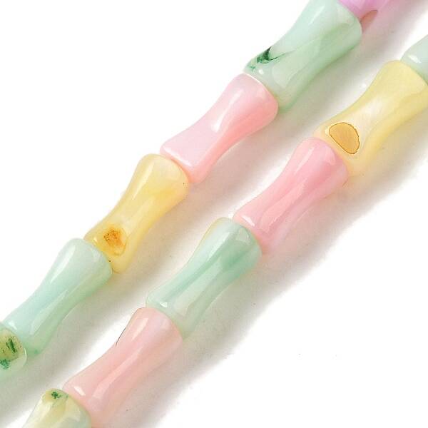 Rainbow Color Dyed Natural Freshwater Shell Beads Strands