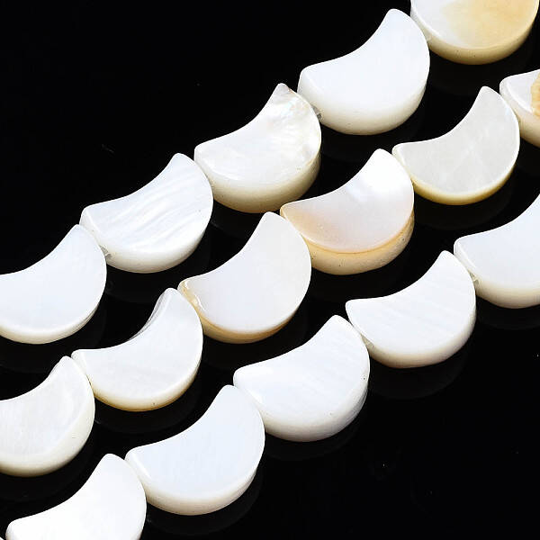 Natural Freshwater Shell Beads Strands