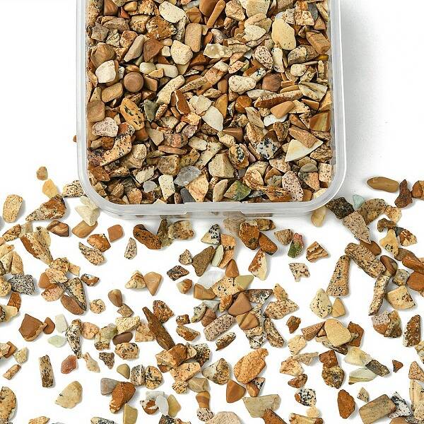 50G Natural Picture Jasper Chips
