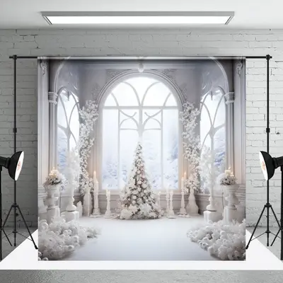 White Elegant Window Winter Christmas Photo Backdrop - Aperturee