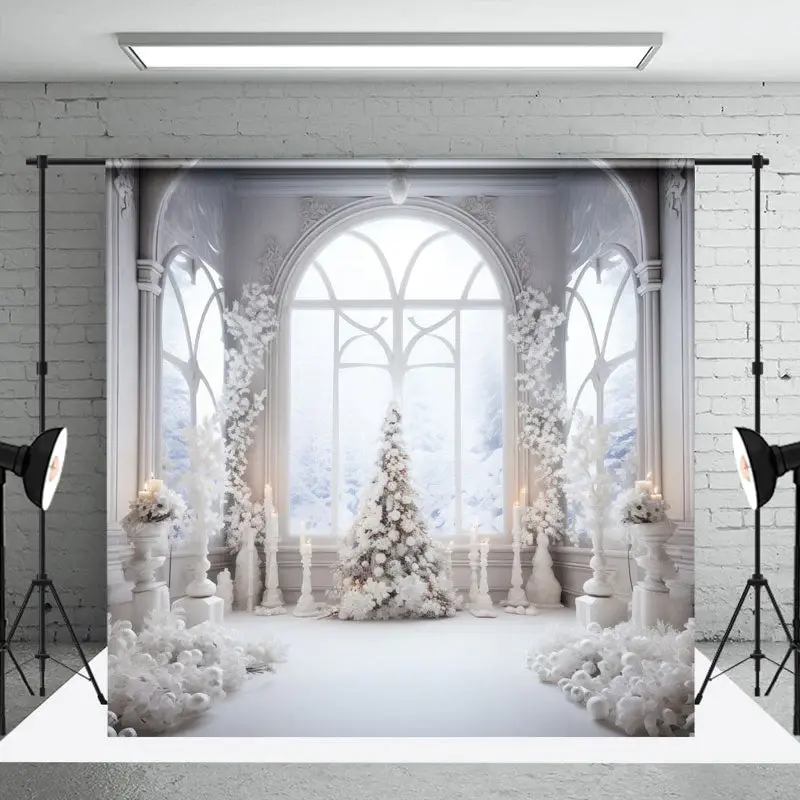 White Elegant Window Winter Christmas Photo Backdrop - Aperturee