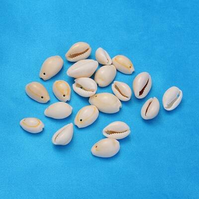 Natural Cowrie Shell Beads