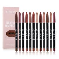 Long Lasting Matte Lip Liner Set, 12pcs/set Waterproof Lip Liner Pencil, Easy Coloring Lipstick Pen, Suitable for All Occasio...