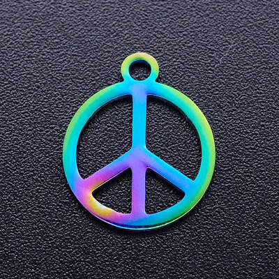 Ion Plating(IP) 304 Stainless Steel Charms