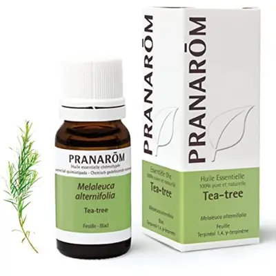 Essential Oils Pranarôm Tea Tree Essential Oil 10ml
