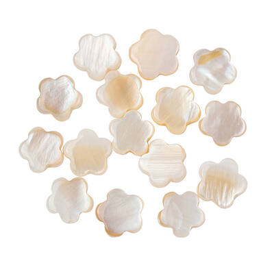 Natural Freshwater Shell Beads