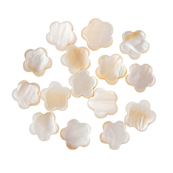 Natural Freshwater Shell Beads