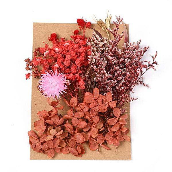 Dried Flower