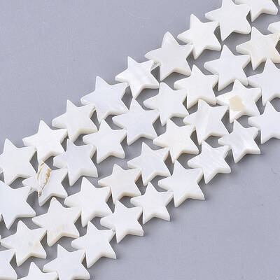 Freshwater Shell Beads Strands