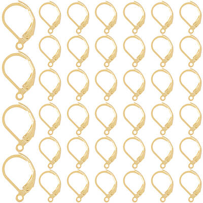 304 Stainless Steel Leverback Earring Findings