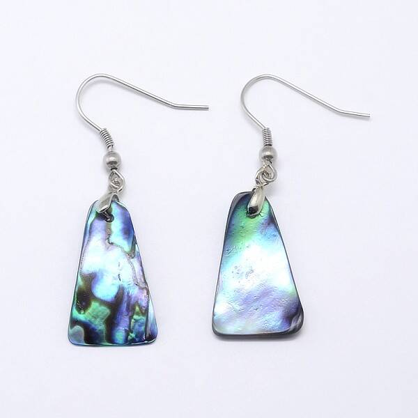 Abalone Shell/Paua ShellTrapezoid Dangle Earrings