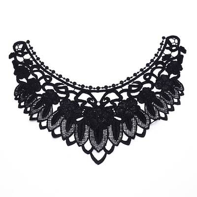Milk Silk Embroidered Floral Lace Collar
