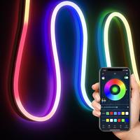 LED Neon Rope Lights,Flexible Rope Lights App Control with Music Sync,DIY Design,Outdoor Waterproof LED Strip Lights for Gami...