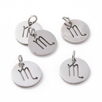 Non-Tarnish 304 Stainless Steel Charms