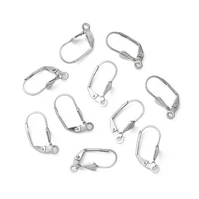 Tarnish Resistant 304 Stainless Steel Leverback Earring Findings