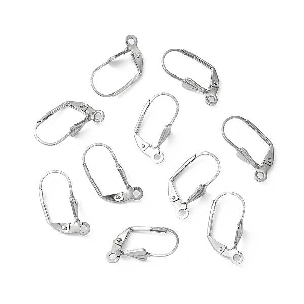 Tarnish Resistant 304 Stainless Steel Leverback Earring Findings