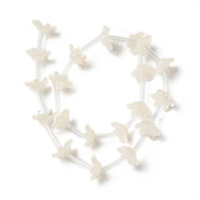 Natural White Shell Bead Caps