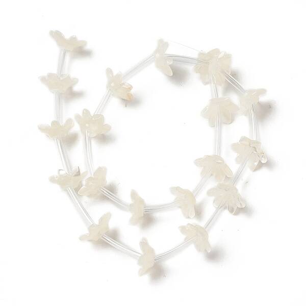Natural White Shell Bead Caps