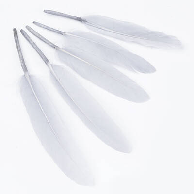 Goose Feather Costume Accessories