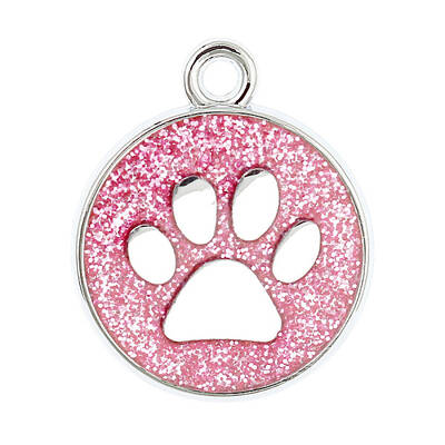 Enamel Charms
