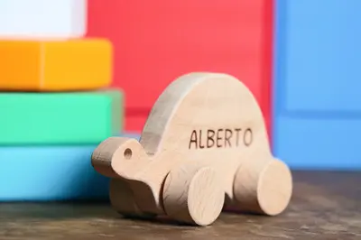 Wooden Turtle Toy