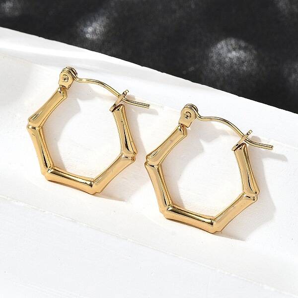 304 Stainless Steel Hoop Earrings for Women