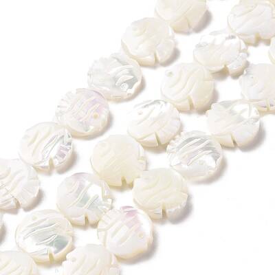 Natural Trochid Shell Beads Strands