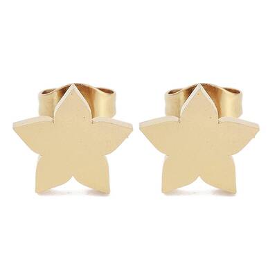 PVD Vacuum Plating 304 Stainless Steel Stud Earrings for Women