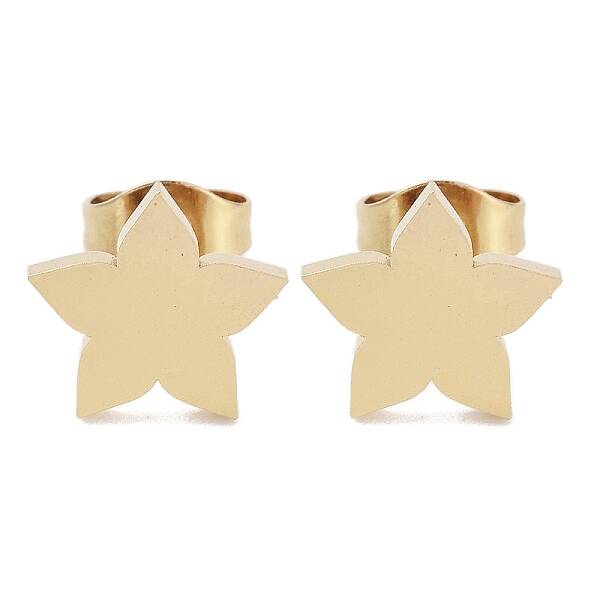 PVD Vacuum Plating 304 Stainless Steel Stud Earrings for Women
