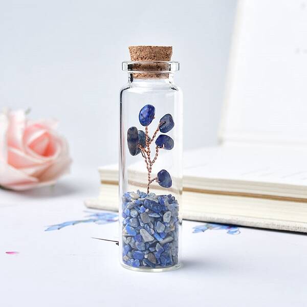 Glass Wishing Bottles