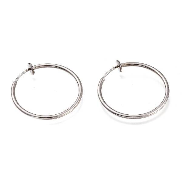 Non-Tarnish 304 Stainless Steel Retractable Earrings