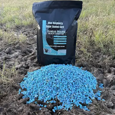 Blue raspberry sugar coated corn