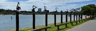A Scenic Stroll around the Currumbin Estuary and Mangrove Boardwalk