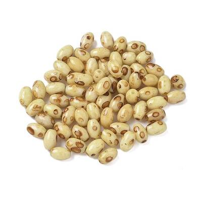 60Pcs 10G Baking Paint Glass Seed Beads