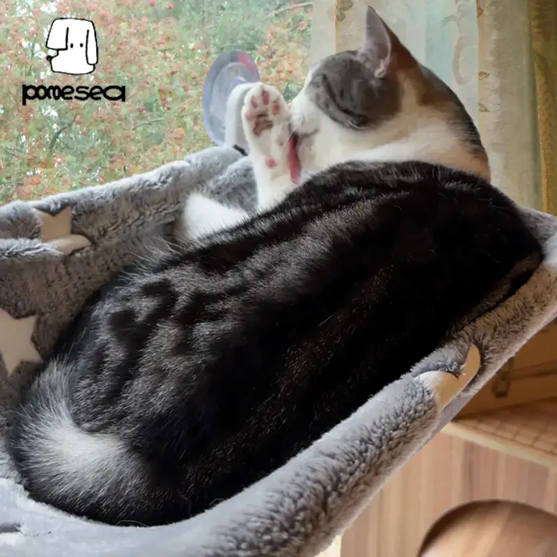 【POMESEA Cat Window Perch】Sunbathing Hammock with Hook Design,Glow in The Dark,Double-Sided Fabric Cover, Foldable Window...