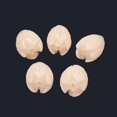 Dyed Synthetic Coral Beads