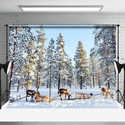 Aperturee Deer Pulling Sled Winter Forest Photography Backdrop