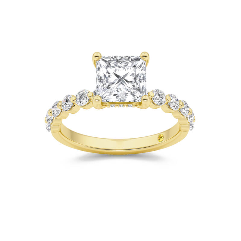 Frost Shared Prong Princess Cut Lab Grown Diamond Engagement Ring | 14K Yellow Gold 4 1/4 CT. TW.