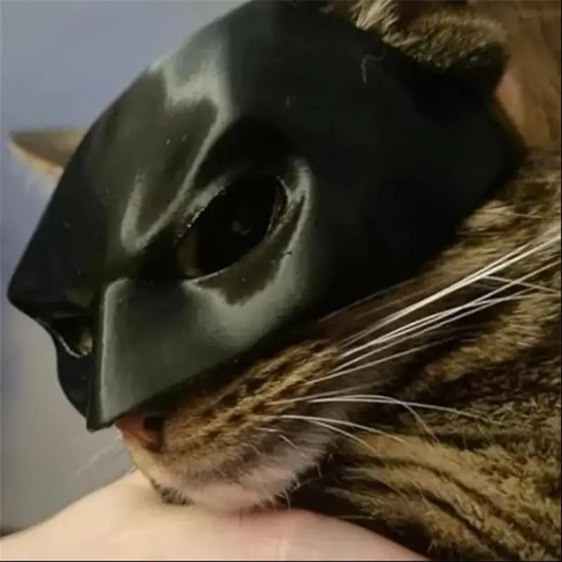 Bat Design Pet Mask, 1 Count Creative Pet Costume, Pet Cosplay Costume, Pet Costumes for Cats, Cat Supplies, Dog & Cat Cloth...